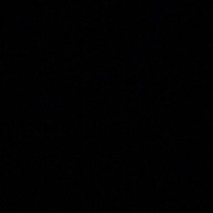 Meet your Posher, Sophie